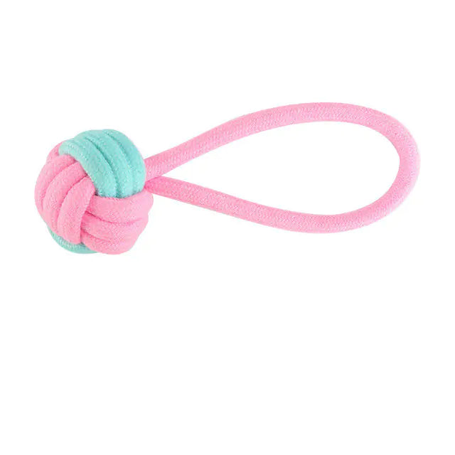 Pet Dog Chew Toys